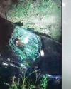 नहर में कार गिरने से एयर होस्टेस की मौत, 3 घायल नहर में कार गिरने से एयर होस्टेस की मौत, 3 घायल