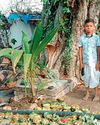 अक्ति त्योहार से किसान आगामी बारिश का लगाते है अनुमान अक्ति त्योहार से किसान आगामी बारिश का लगाते है अनुमान