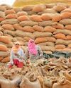 डीएपी और पोटाश में राहत,धान बीज के कीमत में 150 रुपए तक इजाफा डीएपी और पोटाश में राहत,धान बीज के कीमत में 150 रुपए तक इजाफा