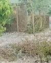 कोरबा, पेंड्रा, बेमेतरा में बरसे ओले रायपुर समेत कई शहरों में बौछारें कोरबा, पेंड्रा, बेमेतरा में बरसे ओले रायपुर समेत कई शहरों में बौछारें