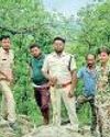 छाल के जंगलों में बाघ की धमक से दहशत, वन विभाग ने जारी किया अलर्ट10
