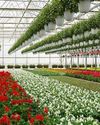 FLORICULTURE: SIGNALLING A BLOOMING TOMORROW FOR THE INDIAN ECONOMY6