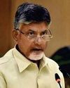 CM NAIDU TALKS ABOUT PLANTING IDEAS IN ANDHRA PRADESH CEO Insights