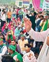 Farmers' protest: Rakesh Tikait detained on way to Greater Noida