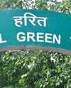 NGT asks petitioner to approach tree officer