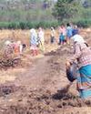 Over 35 lakh MGNREGS job cards deleted, 38 lakh added this fiscal: Centre