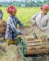 Retail inflation for farm, rural workers dips in Nov