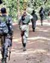 Naxals see end of road as security forces move deep into forests