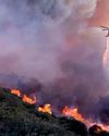 Scores evacuated as wildfires ravage LA