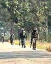 Chhattisgarh: 12 Naxalites Gunned Down in Bijapur Were Among Maoists' Strongest Armed Squad in Bastar