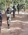 Bodies of 2 more Naxalites recovered in Chhattisgarh; death toll reaches 16