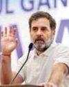 Need to filter out those Cong leaders who work for BJP: Rahul Gandhi Need to filter out those Cong leaders who work for BJP: Rahul Gandhi
