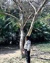 Couple found hanging from tree in Deer Park Couple found hanging from tree in Deer Park11