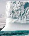How Tiny Antarctic Creatures Hold Clues to Medical and Scientific Breakthroughs