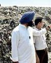 Delhi's garbage mountains to disappear like dinosaurs in 5 years: Minister Sirsa Delhi's garbage mountains to disappear like dinosaurs in 5 years: Minister Sirsa