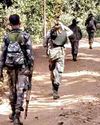 Chhattisgarh: Security forces kill 3 women Naxals in massive operation Chhattisgarh: Security forces kill 3 women Naxals in massive operation