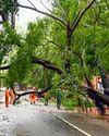 Heavy rains and strong winds damage homes, crops in Kerala Heavy rains and strong winds damage homes, crops in Kerala30