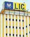 LIC Q4 net profit rises 38% to ₹19,013 crore62