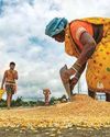 Centre hikes MSP for kharif crops; paddy at Rs 2,369, pulses and oilseeds up to 9%7