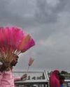 Windy, cloudy day witnessed in nat'l capital Windy, cloudy day witnessed in nat'l capital17