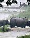 Assam flood toll rises to 19; nearly 6.8 lakh people affected27