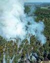 Wildfires in Germany Injure Firefighters Wildfires in Germany Injure Firefighters56