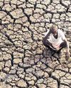 Maha Sees 479 Farmer Suicides in March-April; Aid Hike Not Being Considered: MIN38