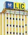 LIC Posts 14.6% Rise in June Individual Premium LIC Posts 14.6% Rise in June Individual Premium80