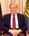 Zardari to Continue as Prez, Munir Never Sought Presidency: Pak PM Zardari to Continue as Prez, Munir Never Sought Presidency: Pak PM48