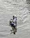 Yamuna water level nearing warning mark19