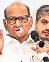 Offered 160 Assembly seats before Maha polls, me & Rahul declined it: Pawar36