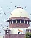 Delhi to SC: 'Uphaar fine used for trauma units in 3 hospitals'23