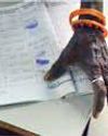 EC Makes Public Names of 65 Lakh Deleted Voters, INDIA Bloc Calls It 'Farce'5