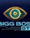 'Bigg Boss OTT fame came with a cost'104