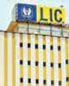 LIC Celebrates Its 69th Anniversary61