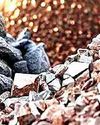 Govt Clears Rs 1.5K Cr Incentive Scheme To Promote Critical Minerals' Recycling62