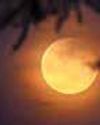 Longest total lunar eclipse since 2022 to be visible across India on Sept 7-8 Millennium Post Delhi