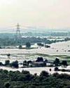 Floods Shatter Farmers, Crops Ruined Millennium Post Delhi