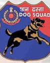 Delhi Police Unveils Emblem of Its K-9 Dog Squad12