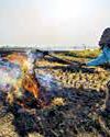 Punjab stubble fires raise Delhi SMOG ALARM33