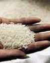 India looks to increase rice shipments to 26 markets’75