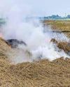 SC seeks action on stubble burning as Centre issues nationwide health advisory on pollution-linked illnesses1