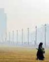 MCD adopts wide-ranging steps to tackle pollution8