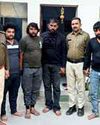 Six held for feeding chicken momos to cows in Gurugram Six held for feeding chicken momos to cows in Gurugram15