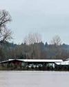 Washington state faces historic floods that have washed away homes, stranded families51