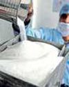 India's sugar output up 28% in 2025-26 season India's sugar output up 28% in 2025-26 season71