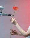 To Be or Not To Be AI?62