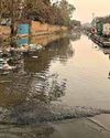 Neglect? Dry Delhi, drowned Shaheen Bagh21