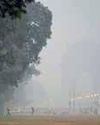 'Air pollution increases risk of eye infection'12