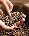 India’s 2025 coffee exports fall 4.47% in volume terms India’s 2025 coffee exports fall 4.47% in volume terms67